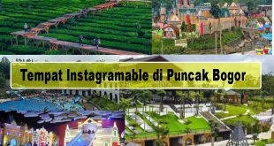 Tempat Instagramable di Puncak Bogor