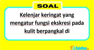 Di bagian manakah kelenjar keringat, organ vital dalam sistem ekskresi kulit, berada? Untuk menjawab pertanyaan tersebut, mari kita selami soal