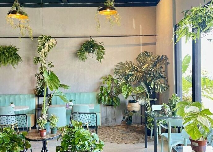 Desain Cafe Sederhana dan Murah Urban Jungle