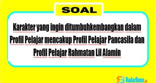 Karakter yang ingin ditumbuhkembangkan dalam Profil Pelajar mencakup Profil Pelajar Pancasila dan Profil Pelajar Rahmatan Lil Alamin