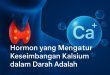 hormon yang mengatur keseimbangan kalsium dalam darah adalah