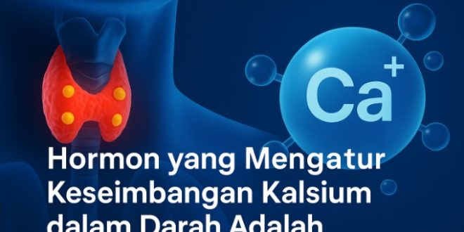 hormon yang mengatur keseimbangan kalsium dalam darah adalah